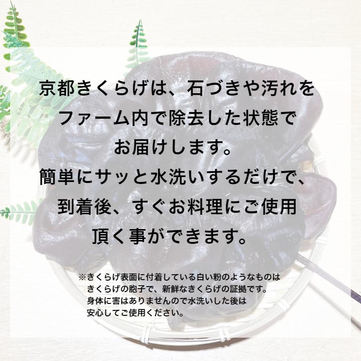 緊急入荷/京都産きくらげ 京都きくらげ 300g 国産 無農薬 ビタミンD 生きくらげ :kikurage001:京都 新日本製薬株式会社 ヤフー店 - 通販 - Yahoo!ショッピング 緊急入荷/京都産きくらげ 京都きくらげ 300g 国産 無農薬 ビタミンD 生きくらげ :kikurage001:京都 新日本製薬株式会社 ヤフー店 - 通販 - Yahoo!ショッピング