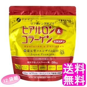 コラーゲン 加えること 黒色火薬 罰金 ヒアルロン\u0026コラーゲン+立ち直らす型コエンザイムQ10 袋手あい 【12袋組】 貨物輸送無料 尖んがり消化 ダイエット、健康-酵母、酵素