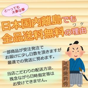 日本郵便 レターパック ライト 370 送料無料｜soryomuryotekisyoten｜02