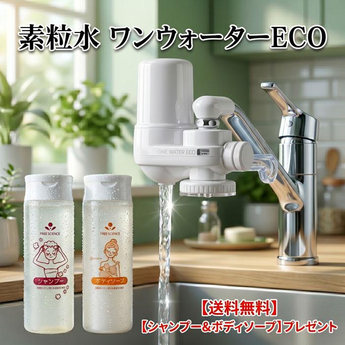 浄水器 蛇口直結型 素粒水 ワンウォーターECO 【正規代理店】 本体2年