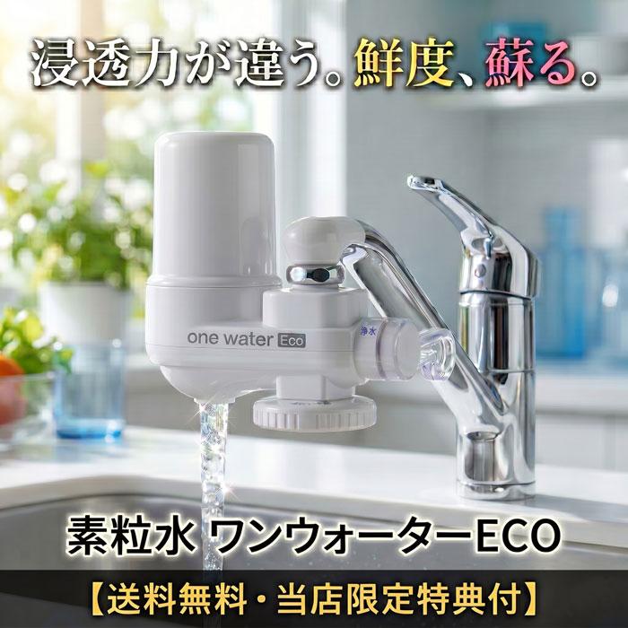 浄水器 蛇口直結型 素粒水 ワンウォーターECO 【正規代理店】 本体2年