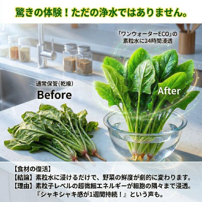 浄水器 蛇口直結型 素粒水 ワンウォーターECO 【正規代理店】 本体2年