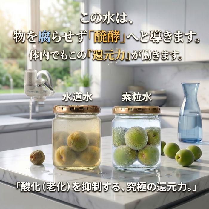 浄水器 蛇口直結型 素粒水 ワンウォーターECO 【正規代理店】 本体2年