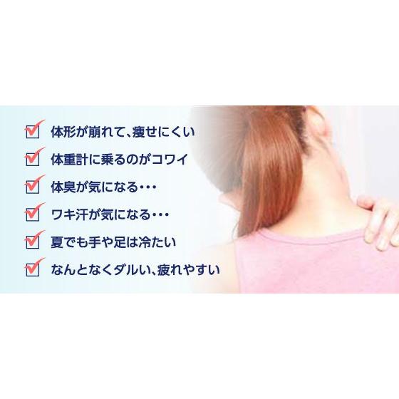ゲルマニウム温浴器 日本製 自宅用 浴槽用 健康 ダイエット ゲルマニウム温浴器 日本製 自宅用 浴槽用 健康 ダイエット