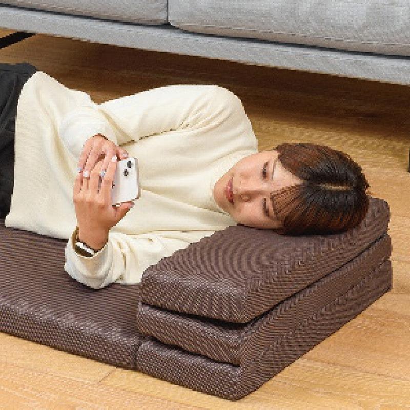 西川のごろ寝マット スイート ブラウン 1個〜 注文可】 記念品 ギフト|nishikawa ごろ寝マット スイート