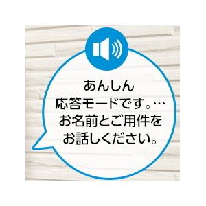 VL-SWE310KLA（Cセット） パナソニック どこでもドアホン カメラ付玄関子機２台 ＋ワイヤレスモニター子機２台 付セット [ VLSWE310KLA-CSET ]｜soshiyaru｜02