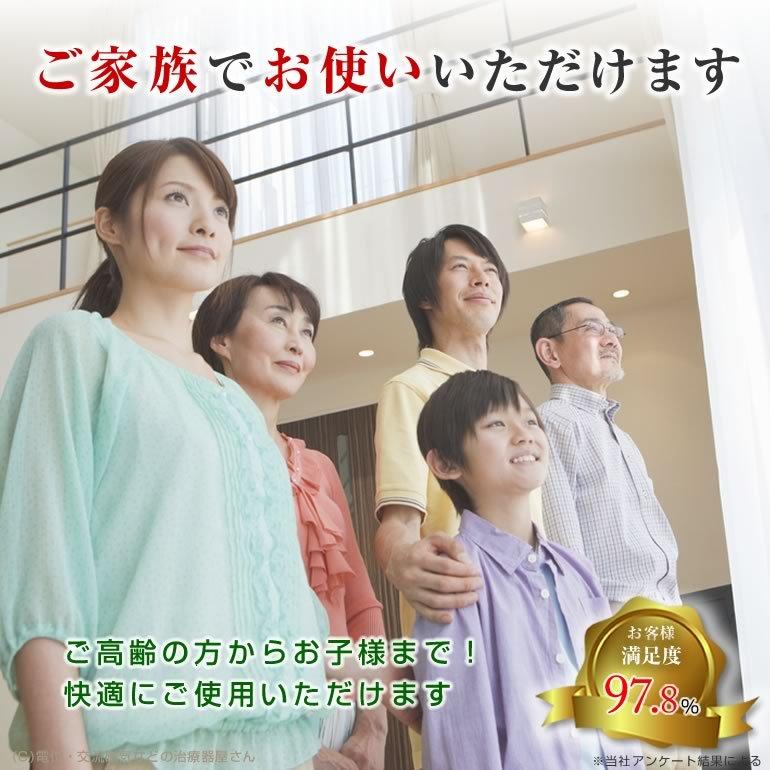 12月25日までの特価！未開封 デンバヘルススタンダード 未使用 DENBA Health （デンバ ヘルス）スタンダードタイプ DENBA-08H
