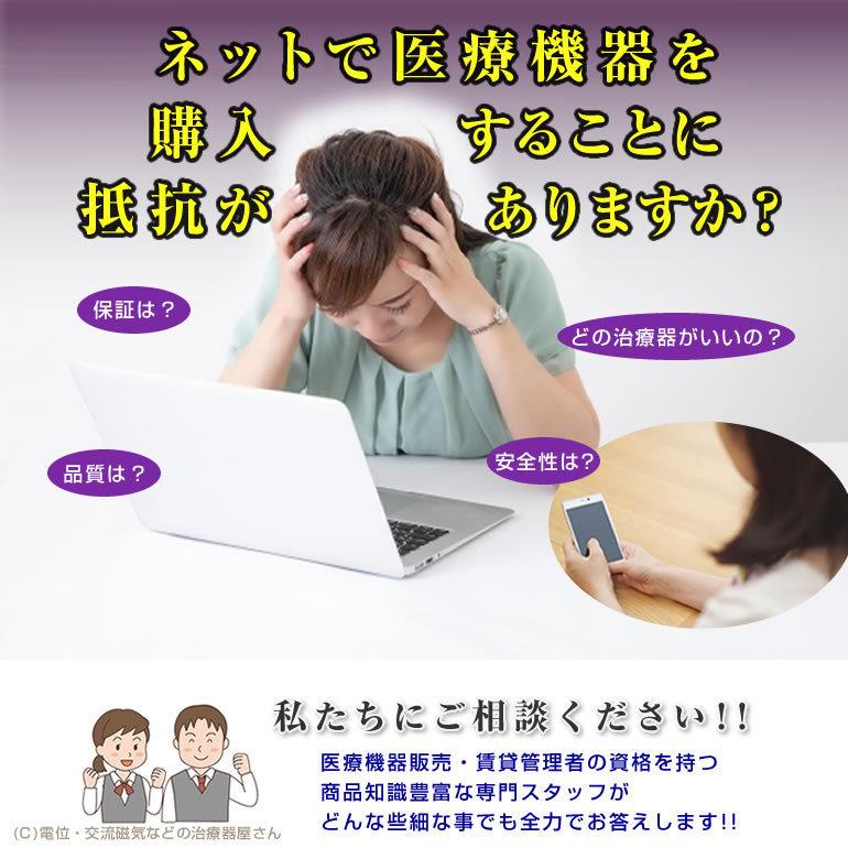 大幅値下げ　新品未使用　 DENBA-08H-19 デンバヘルススタンダード DENBA Health （デンバ ヘルス）スタンダードタイプ DENBA-08H