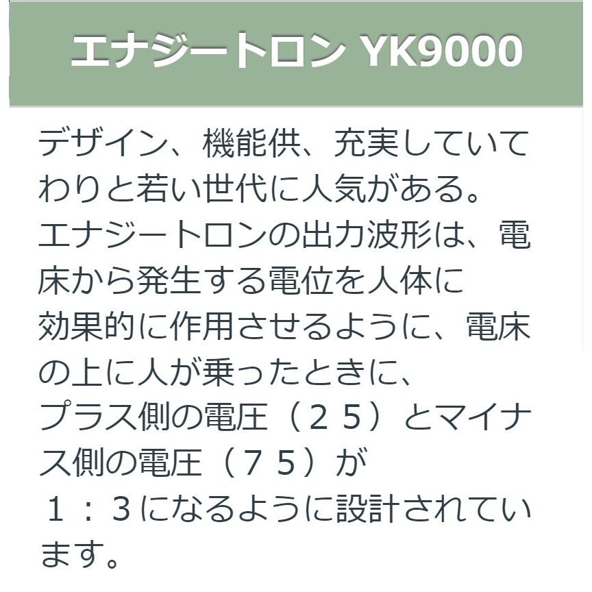 エナジートロン YK-9000 中古 Bランク 8年保証 日本スーパー電子 電位