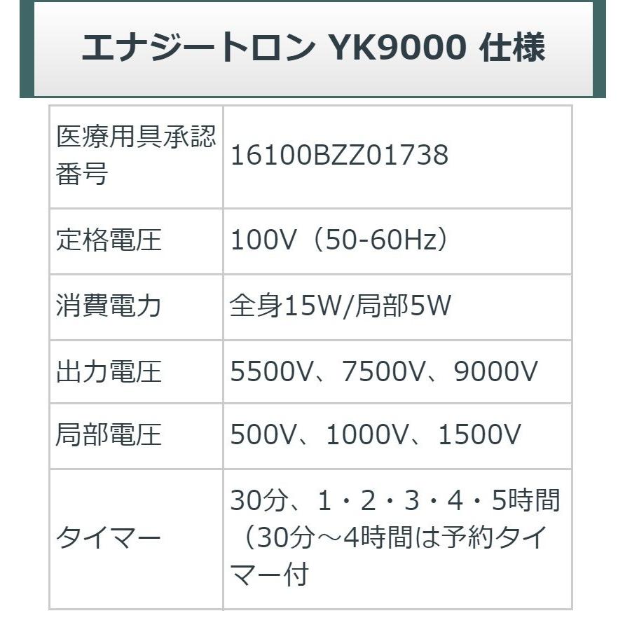 エナジートロン YK-9000 中古 Bランク 5年保証 日本スーパー電子 電位