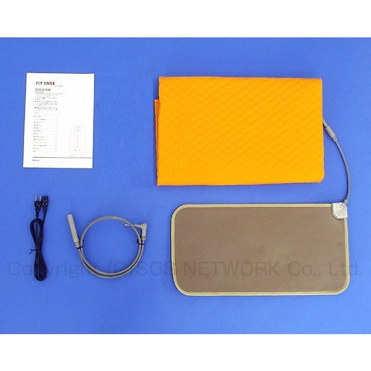 LifeIon　ライフイオンと健針　電位器　新品未使用品 フィットケア 中古 特価ランク 1年保証 フィットラボ 電位治療器