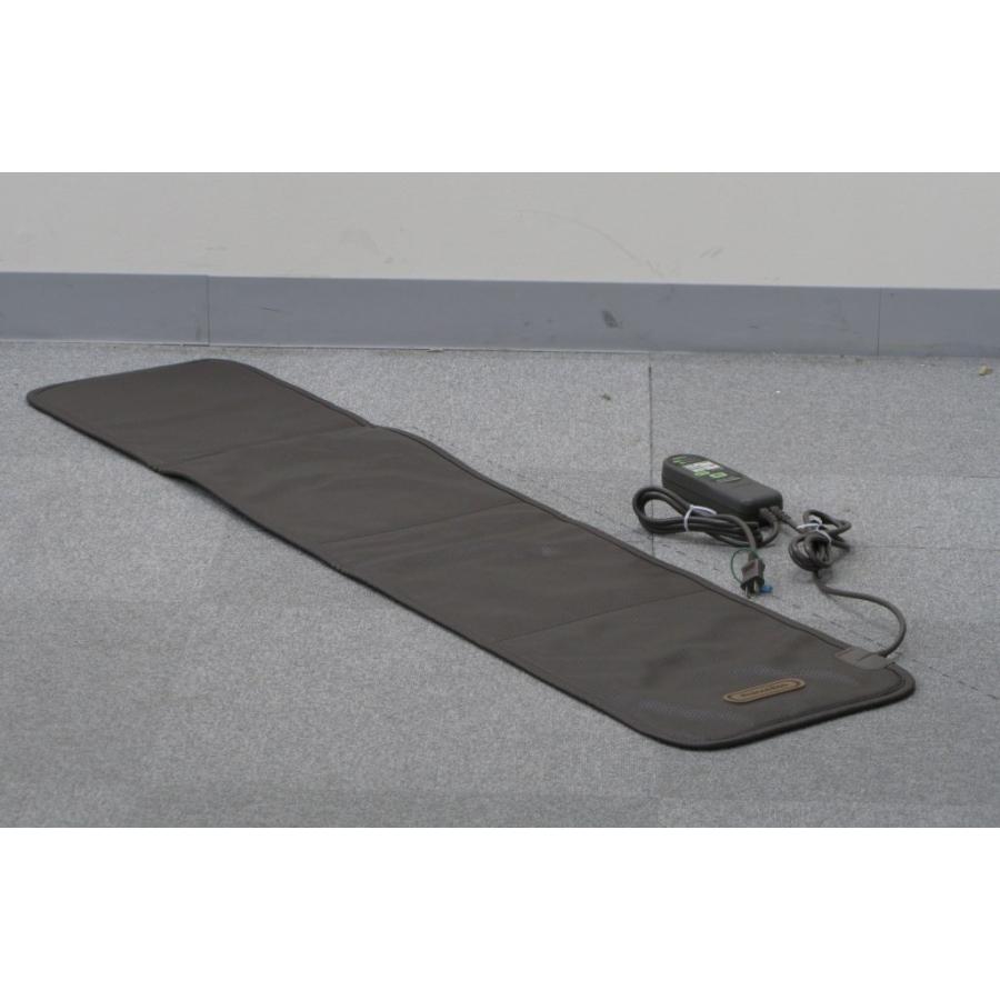 スリーミーイオン 中古 3年保証 フランス総合医療 フランスベッド 電位