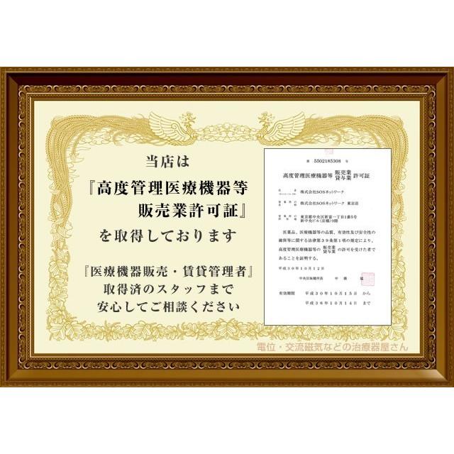 パルストレーナー 3DEMS 中古 特価ランク 2年保証 株式会社ホーマー