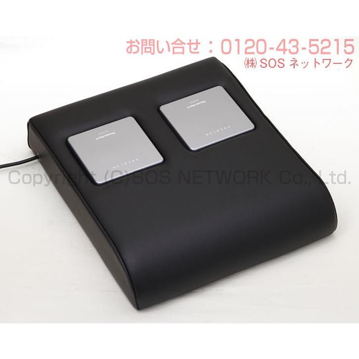 リラクゼーションパーク PREMIUM シートクッション ミニ 中古 Aランク 