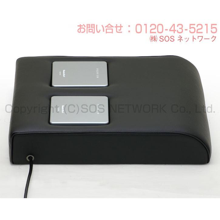 リラクゼーションパーク PREMIUM シートクッション ミニ 中古 Aランク 