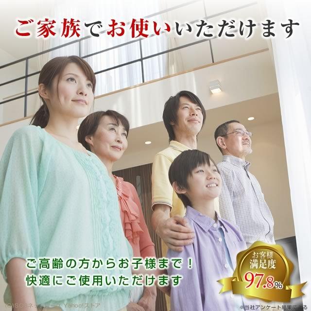 ストレスフリー アパラタスⅡ ストレスフリーアパラタス2 中古 特価ランク 1年保証 温灸器 株式会社