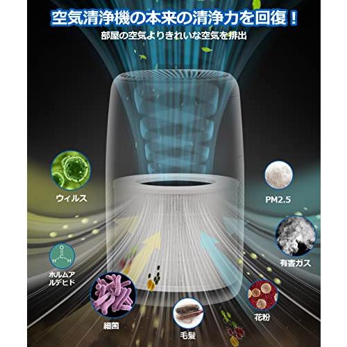 空気清浄機 core mini 用 フィルター  2個入り 集じん 除菌 脱臭 ウィルス対策 LRF-C161-WJP ホワイト｜sosola-shop｜06