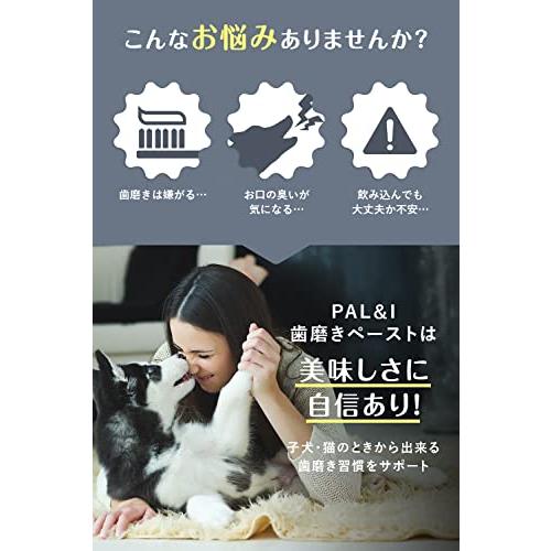 PAL&I 口腔ケア 歯磨き ペースト 30g チキン 味 犬 猫 用｜sosola-shop｜03