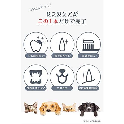 PAL&I 口腔ケア 歯磨き ペースト 30g チキン 味 犬 猫 用｜sosola-shop｜06