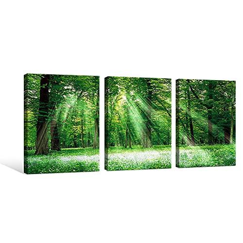 7 CANVAS アートパネル 3枚 森 風景画 太陽の下の森 緑 自然 絵画 インテリア アート ポスター キャンバスアート 玄関 壁の絵｜sosola-shop｜02