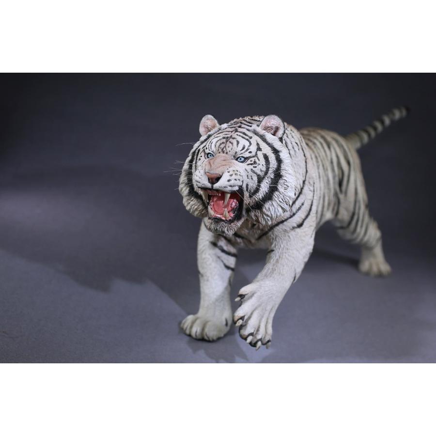 安心の定価販売 Mr Z アムールトラ 002 正規輸入品 Sootang Hobby 海外ホビー店 通販 Yahoo ショッピング 交換無料 Www Ladislexia Net