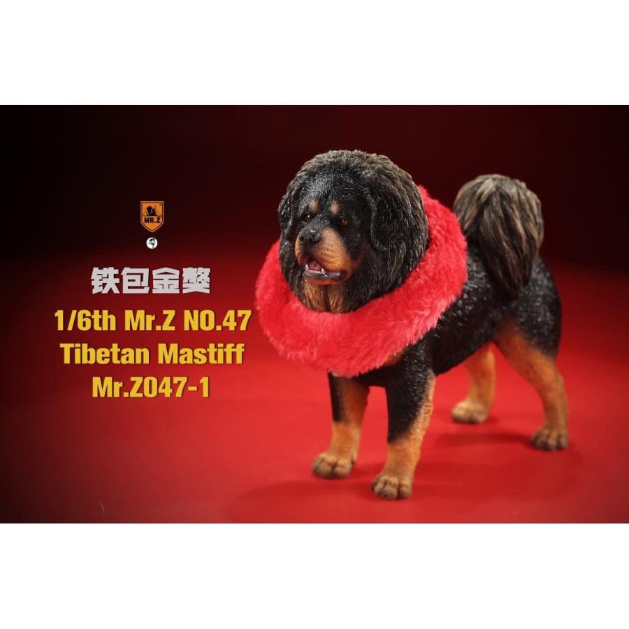 チベタン マスティフ Mr Z047 1 フィギュア 12月予約 Sootang Hobby 海外ホビー店 通販 Yahoo ショッピング