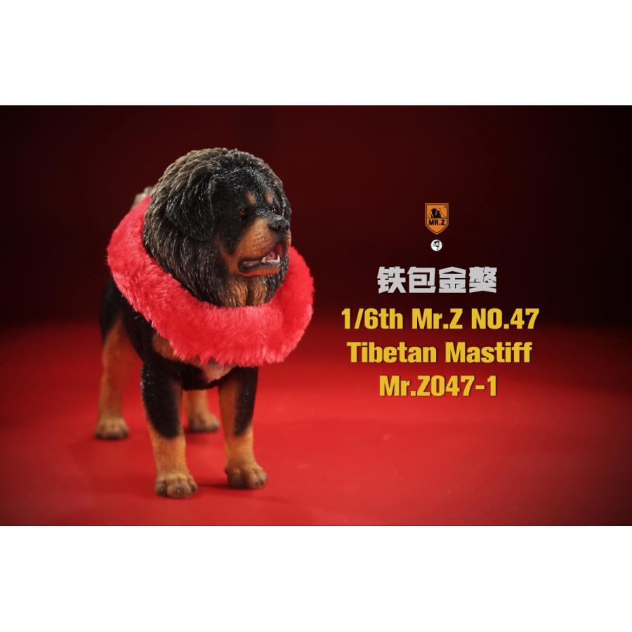 チベタン マスティフ Mr Z047 1 フィギュア 12月予約 Sootang Hobby 海外ホビー店 通販 Yahoo ショッピング
