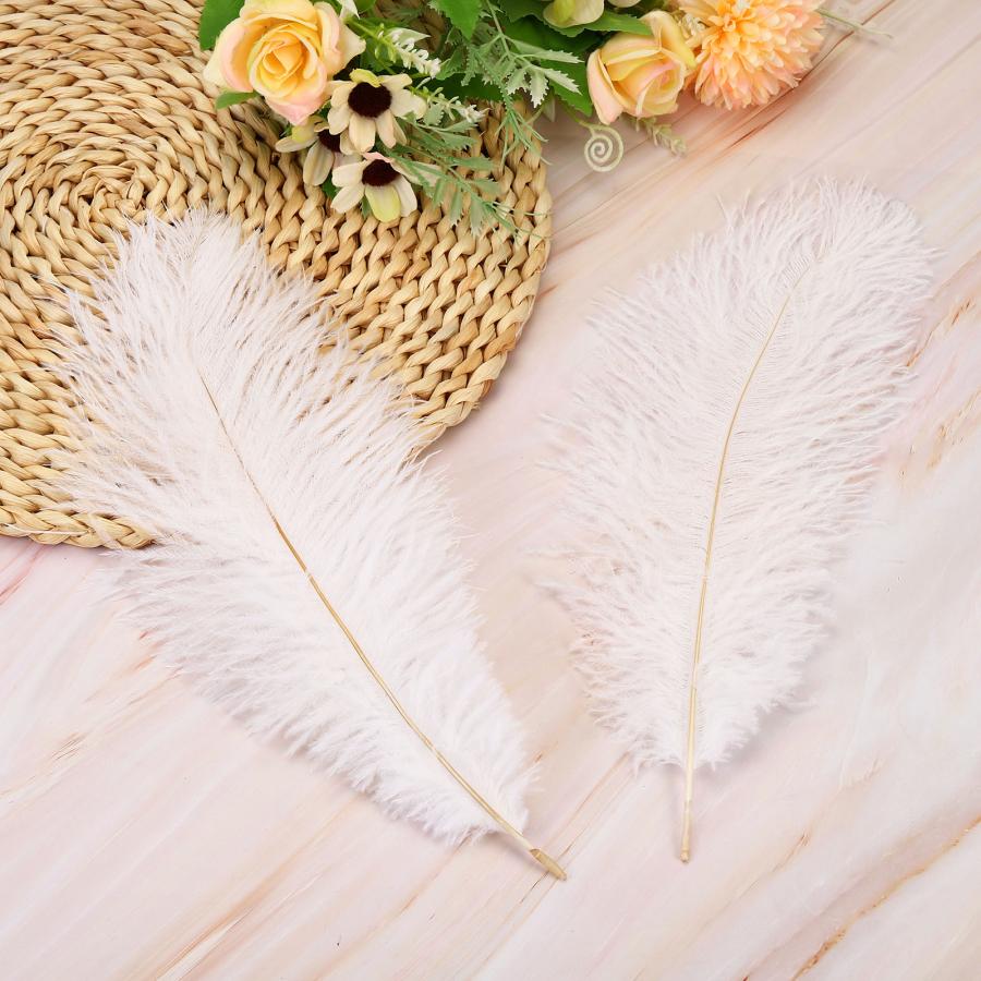 uxcell PATIKIL 100個 自然 ダチョウの羽 バルク 20-25cm 大きい 