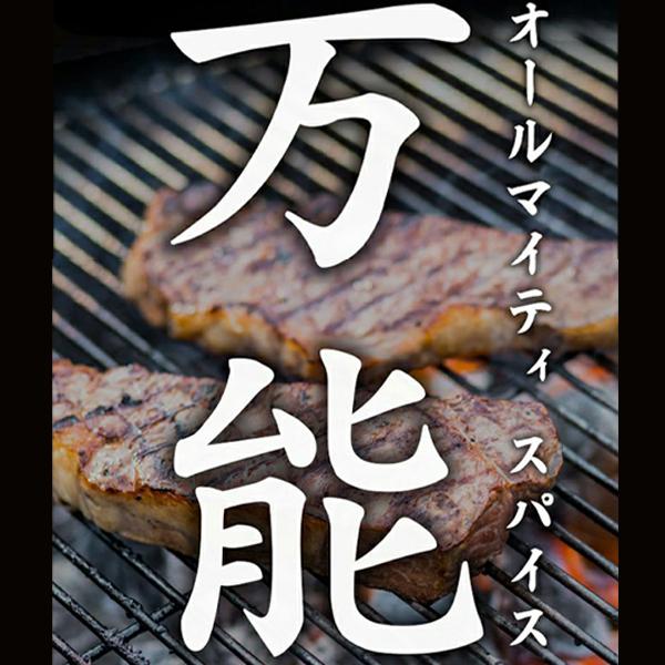 ほりにし アウトドアスパイス 100g 万能調味料 BBQ キャンプ用品 アウトドア用品|sotoaso|05