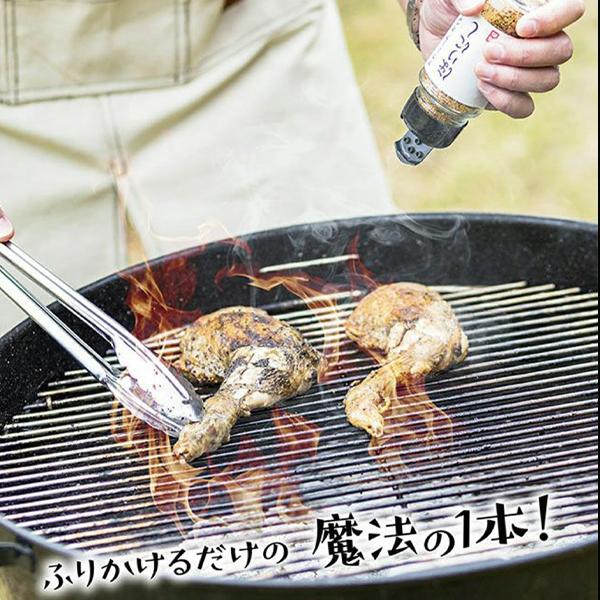 ほりにし アウトドアスパイス 100g 万能調味料 BBQ キャンプ用品 アウトドア用品|sotoaso|07