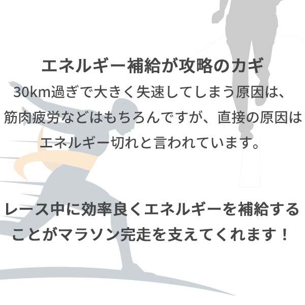 フルマラソン完走セットver.7 マラソン 補給食 ゼリー トレラン フルマラソン完走セットver.7 マラソン 補給食 ゼリー トレラン