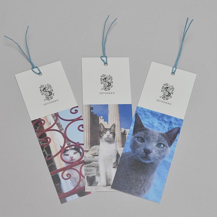 66円 レビュー高評価の商品 しおり ブックマーク 猫写真 文房具 プレゼント かわいい おしゃれ ねこ雑貨 ハチワレ ロシアンブルー