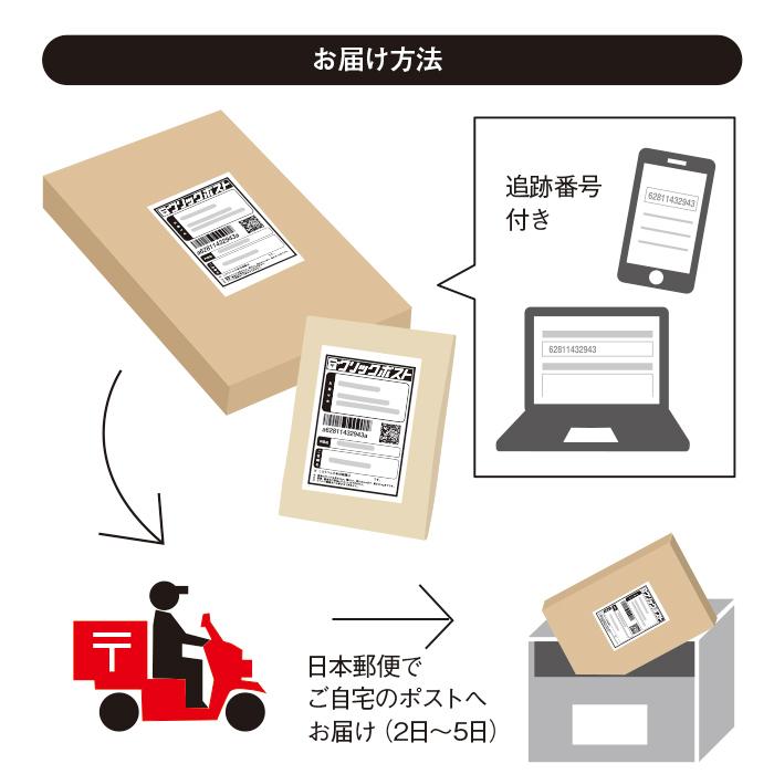 クリアファイル 猫柄 A5 ミニクリアファイル ハーフクリアファイル 小 猫雑貨 猫グッズ ハチワレ おしゃれ プレゼント 激安通販ショッピング 黒猫 日本製 シャム かわいい 文房具