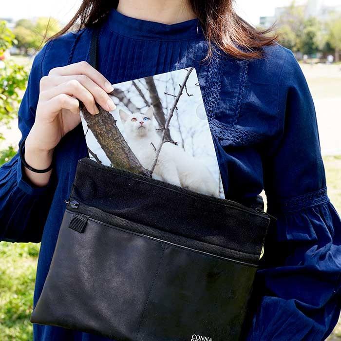 99円 77 Off クリアファイル クリアケース A5 ハーフ ミニ おしゃれ かわいい ねこ雑貨 オッドアイ 白猫