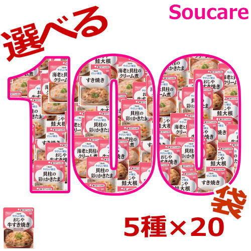 介護食品 100食 やさしい献立 やさしくラクケア バランス献立