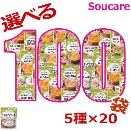 介護食品 100食 やさしい献立 やさしくラクケア バランス献立