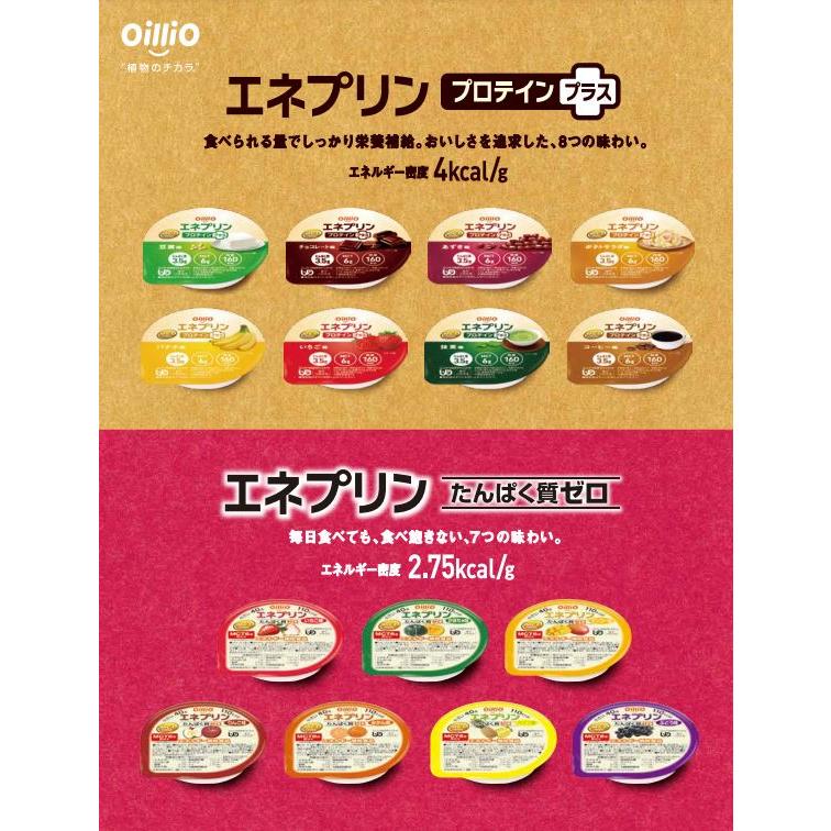 日清オイリオグループ エネプリン パイン味 40g 単品販売 : 340229-1 : 健康介護用品爽ケア - 通販 - Yahoo!ショッピング