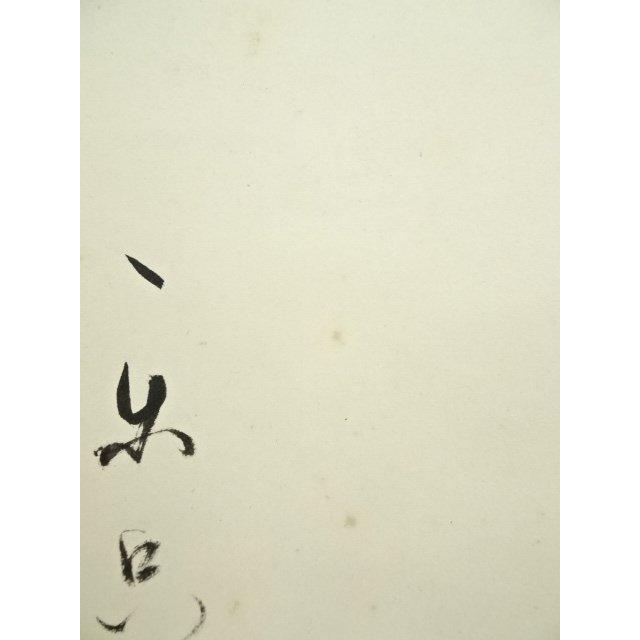★茶掛！『松樹千年翠』一行書！大徳寺『紫野 立花大亀』筆！紙本/共箱/紙箱付！★ ☆茶掛！『松樹千年翠』一行書！大徳寺『紫野 立花大亀』筆！紙本/共