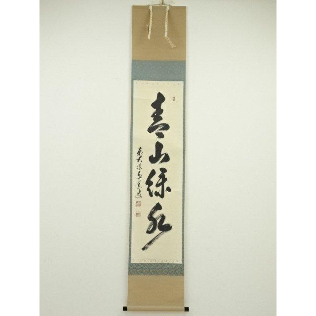 ys6815621; 宗sou 前大徳足立泰道筆 「青山緑水」一行書 肉筆紙本掛軸