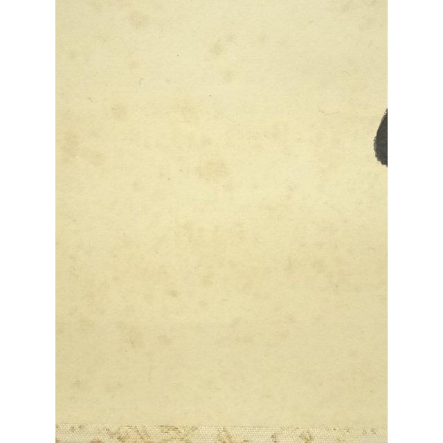 ys6908007; 宗sou 大徳寺小田雪窓筆 「松無古今色」一行書 肉筆紙本