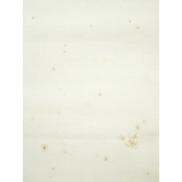ys6935329; 宗sou 松尾流 不染斎（宗吾）筆 横物七字 肉筆紙本掛軸