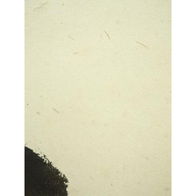 ys7091183; 宗sou 大徳寺 小堀卓巌筆 「本来無一物」一行書 肉筆紙本