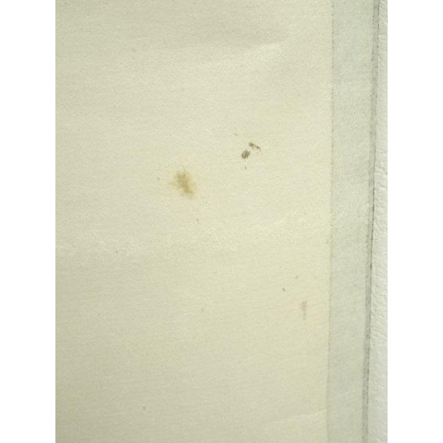 ys7224681; 宗sou 前大徳 上坂教道（宗育）筆 「青松多寿色」一行書