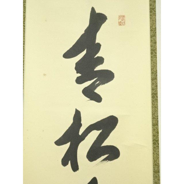 ys7224681; 宗sou 前大徳 上坂教道（宗育）筆 「青松多寿色」一行書