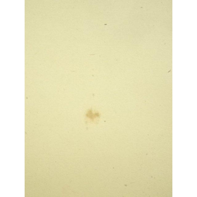 ys7224681; 宗sou 前大徳 上坂教道（宗育）筆 「青松多寿色」一行書