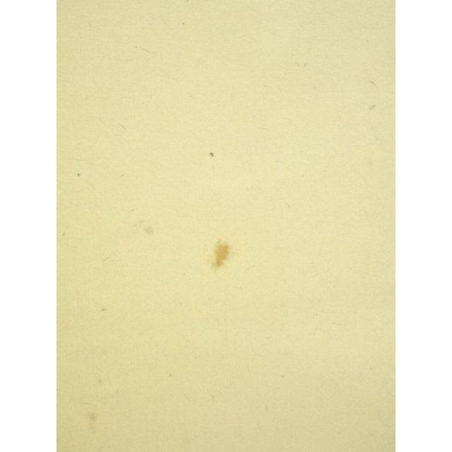 ys7224681; 宗sou 前大徳 上坂教道（宗育）筆 「青松多寿色」一行書