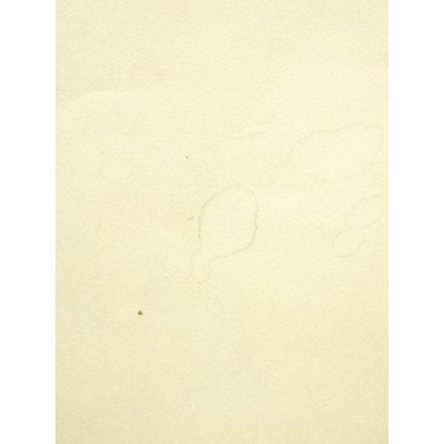 ys7300517; 宗sou 大徳寺 藤井誡堂筆 「一花笑春風」一行書 肉筆紙本