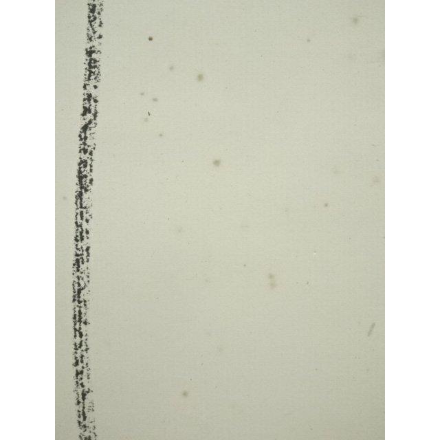 ys7391255; 宗sou 東大寺 清水公照筆 「双鶴萬里心」双鶴画賛 肉筆紙本
