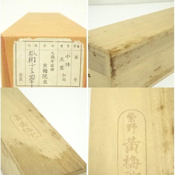 ys7393113; 宗sou 大徳寺 小林太玄筆 「松樹千年翠」 肉筆紙本掛軸（共