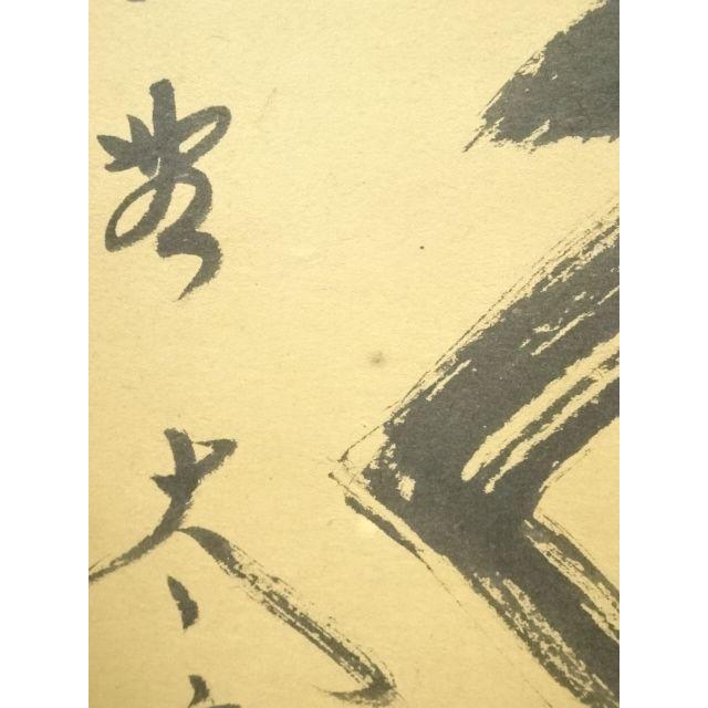ys7393113; 宗sou 大徳寺 小林太玄筆 「松樹千年翠」 肉筆紙本掛軸（共